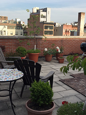 Rooftop